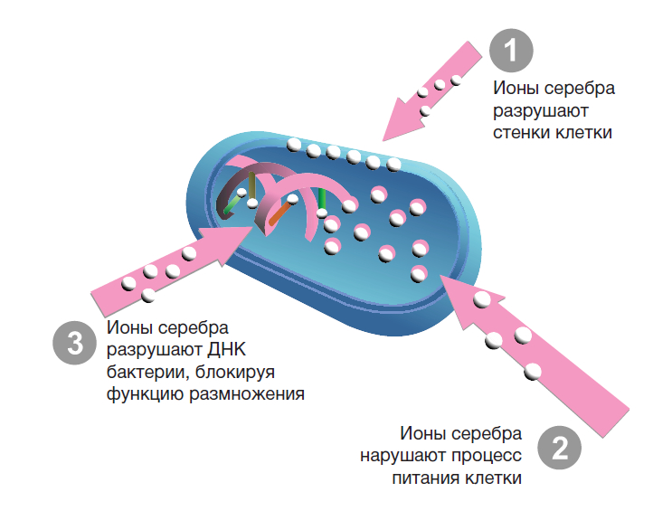 Серебра протеинат: инструкция по применению, показания и действие