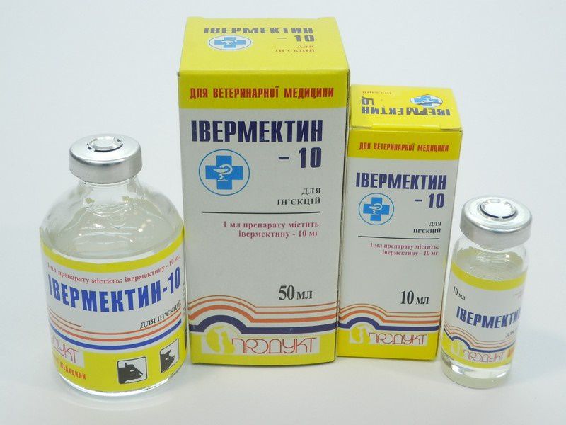 Ивермектин: купить, инструкция, цена, при коронавирусе, показания и противопоказания