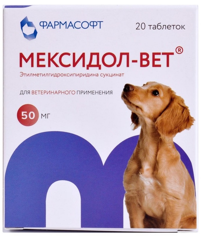 Мексидол-вет: инструкция, показания, побочные эффекты и цены