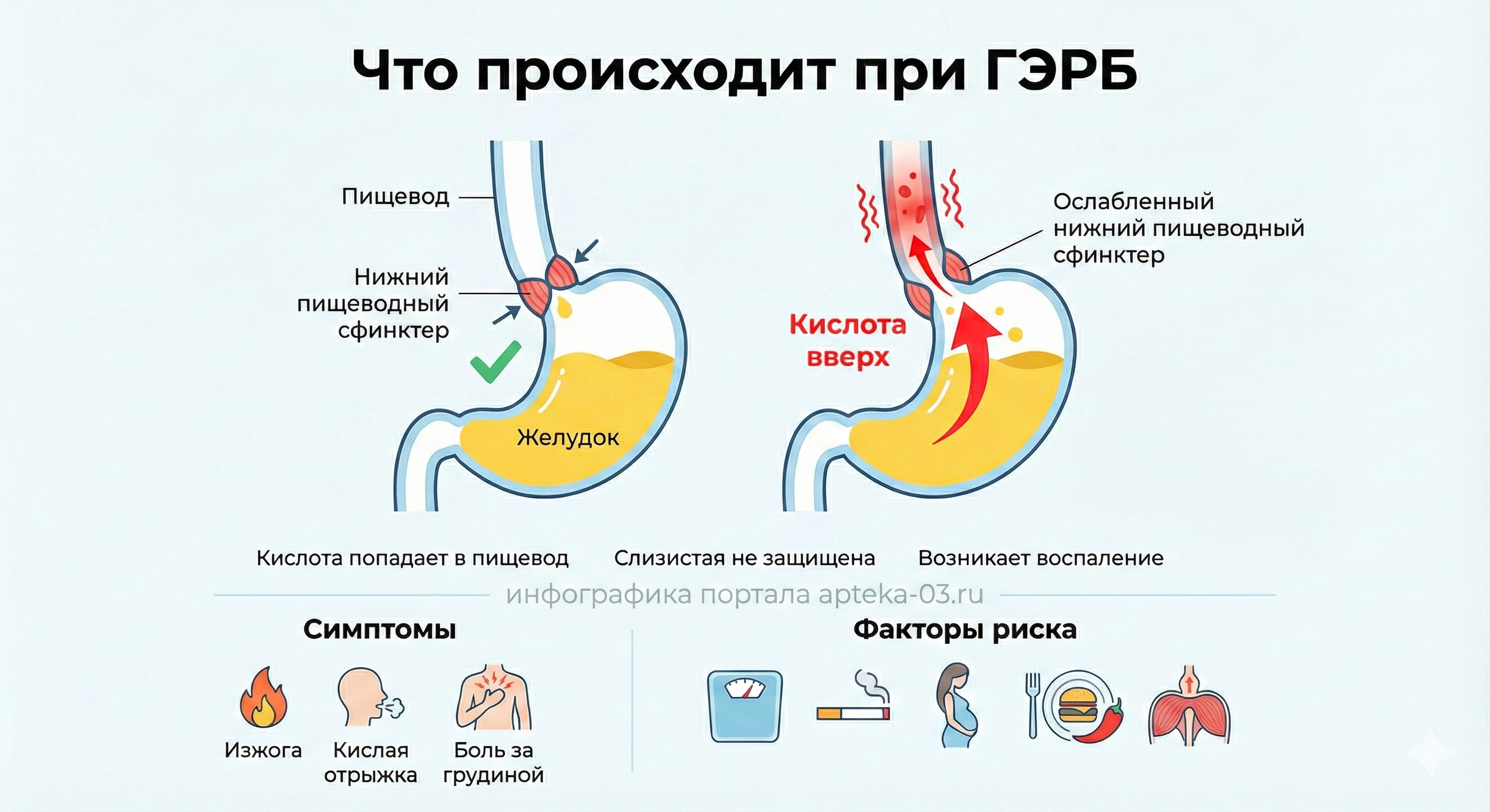 что такое гэрб как он проявляется причины инфографика